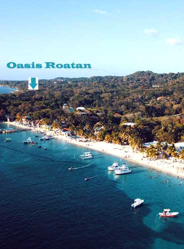 Restaurant Hotel Motels